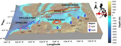 Restriction Site-Associated DNA Sequencing Reveals Local Adaptation Despite High Levels of Gene Flow in Sardinella lemuru (Bleeker, 1853) Along the Northern Coast of Mindanao, Philippines